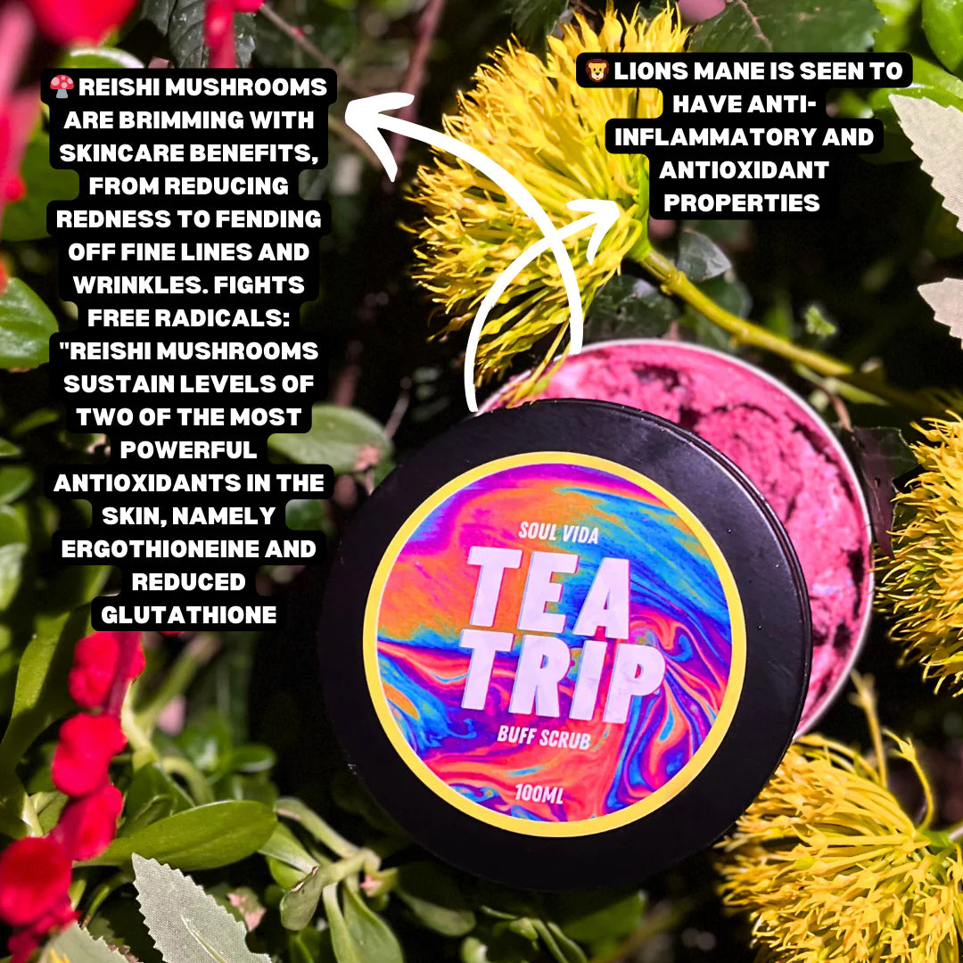 Tea Trip Mushroom Reishi & Lions Mane Body Buff Scrub - 100ml